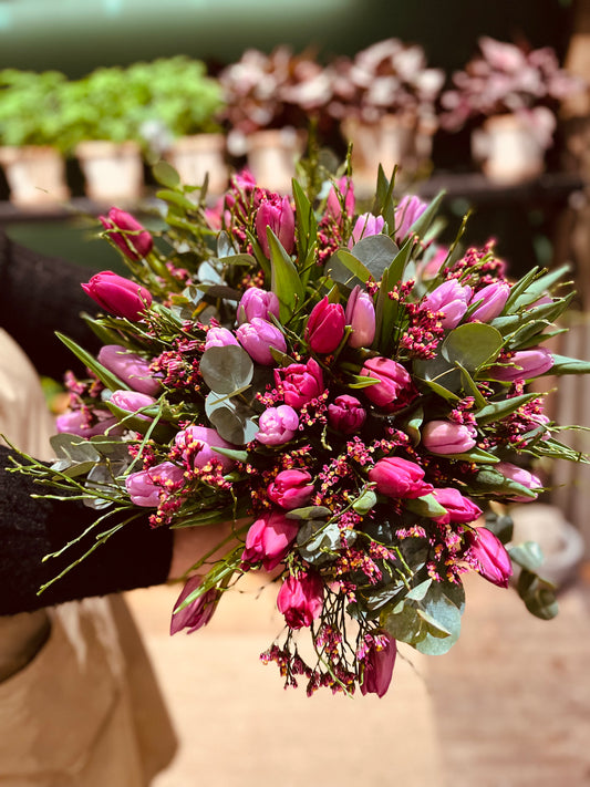 Luxurious tulips